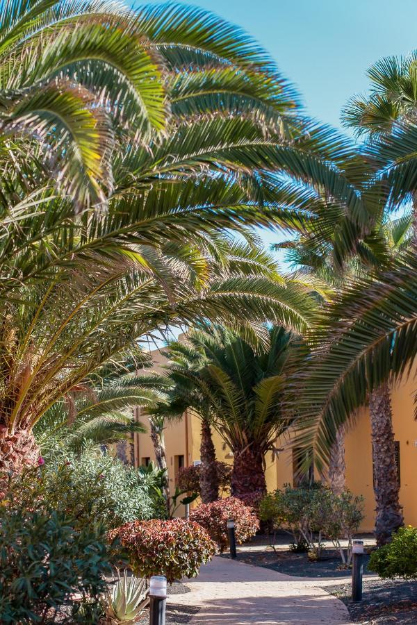 Fuerteventura Apartments Tamarindo 1 Κοραλέχο Εξωτερικό φωτογραφία