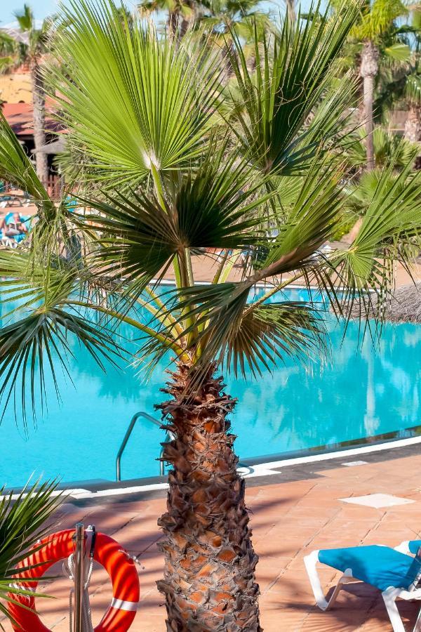Fuerteventura Apartments Tamarindo 1 Κοραλέχο Εξωτερικό φωτογραφία