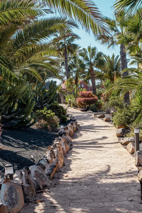 Fuerteventura Apartments Tamarindo 1 Κοραλέχο Εξωτερικό φωτογραφία